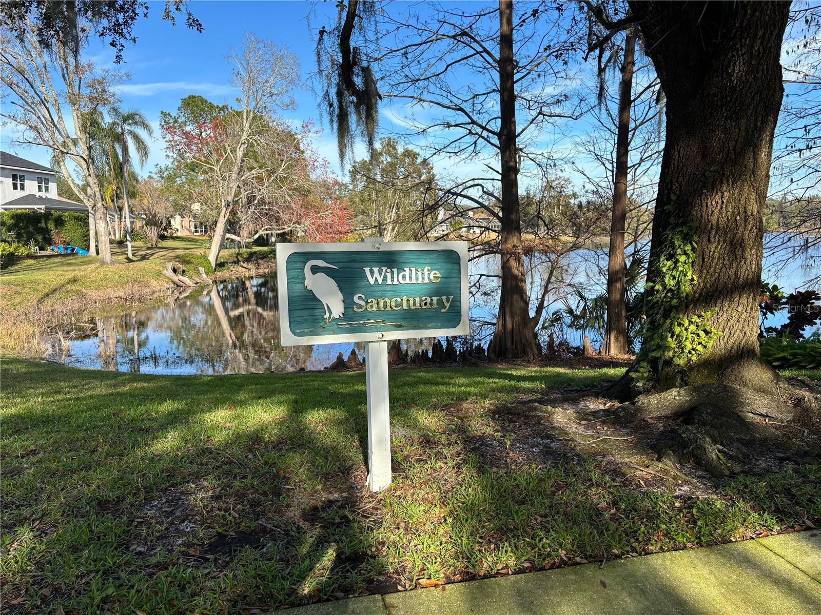 Community Lake