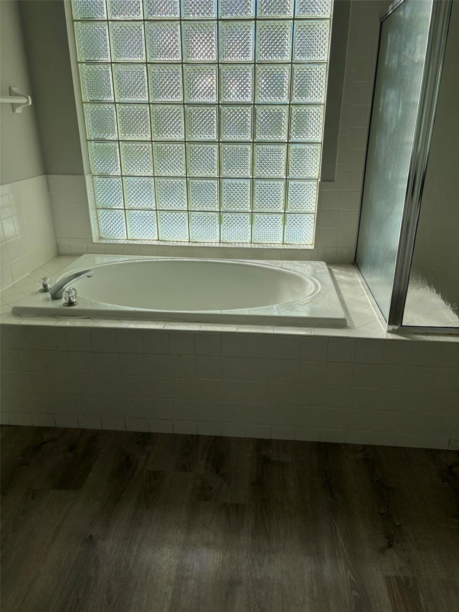 Primary Bathroom Tub