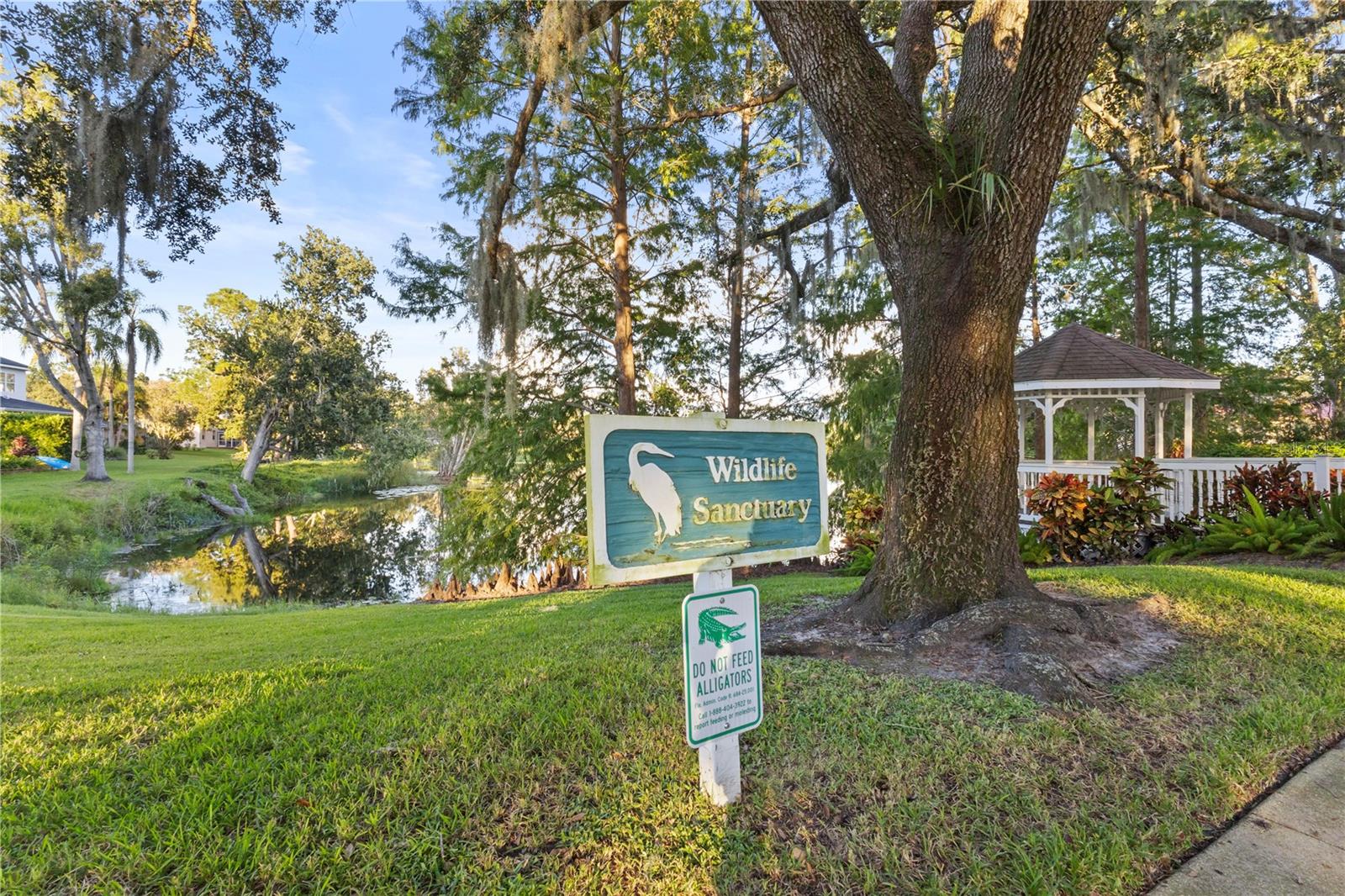 Bird Sanctuary