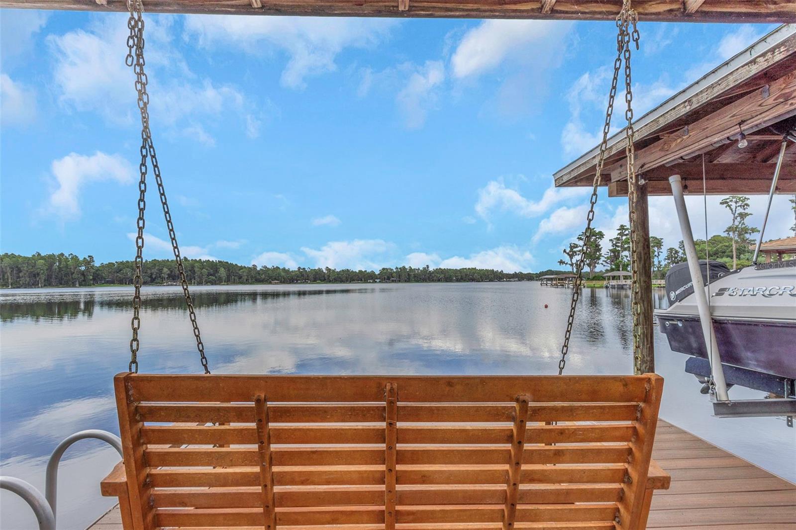 Swing overlooking lake