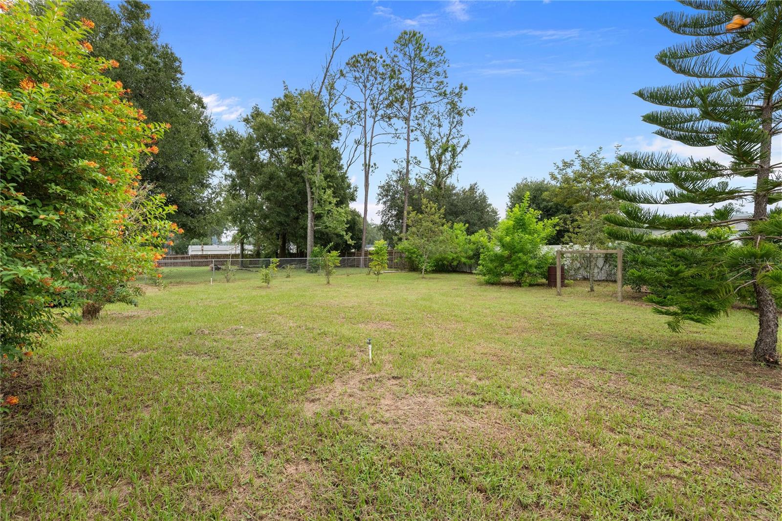 BACK YARD