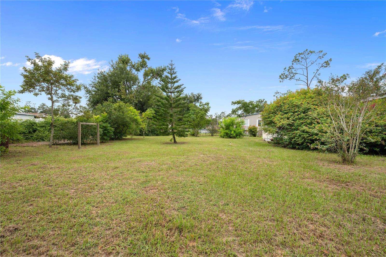 BACK YARD