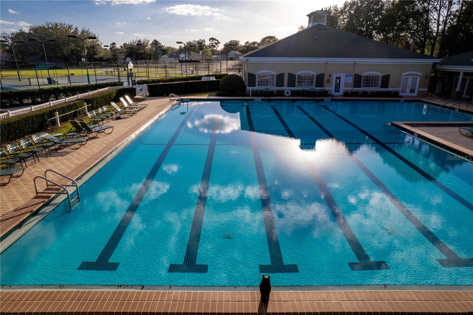 Community Pool