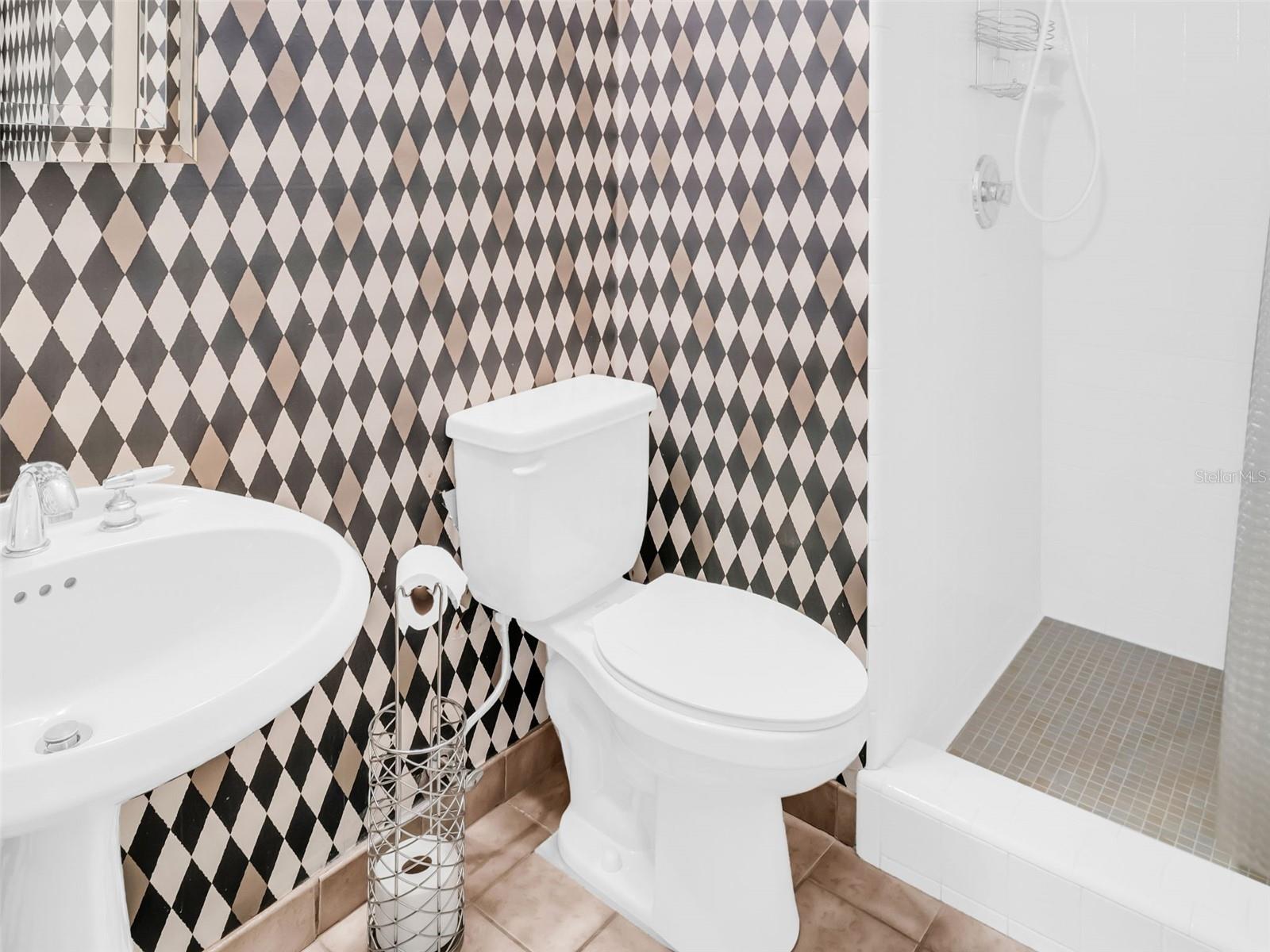 Downstairs Full Bath with Shower