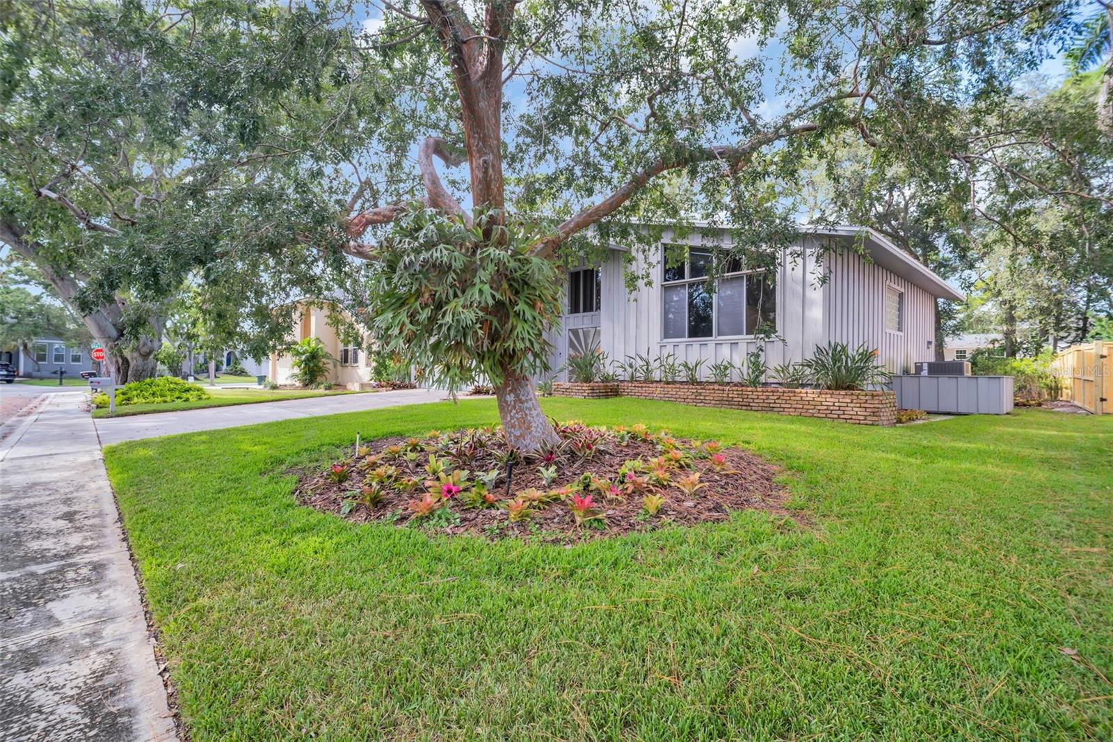 Mature landscaping
