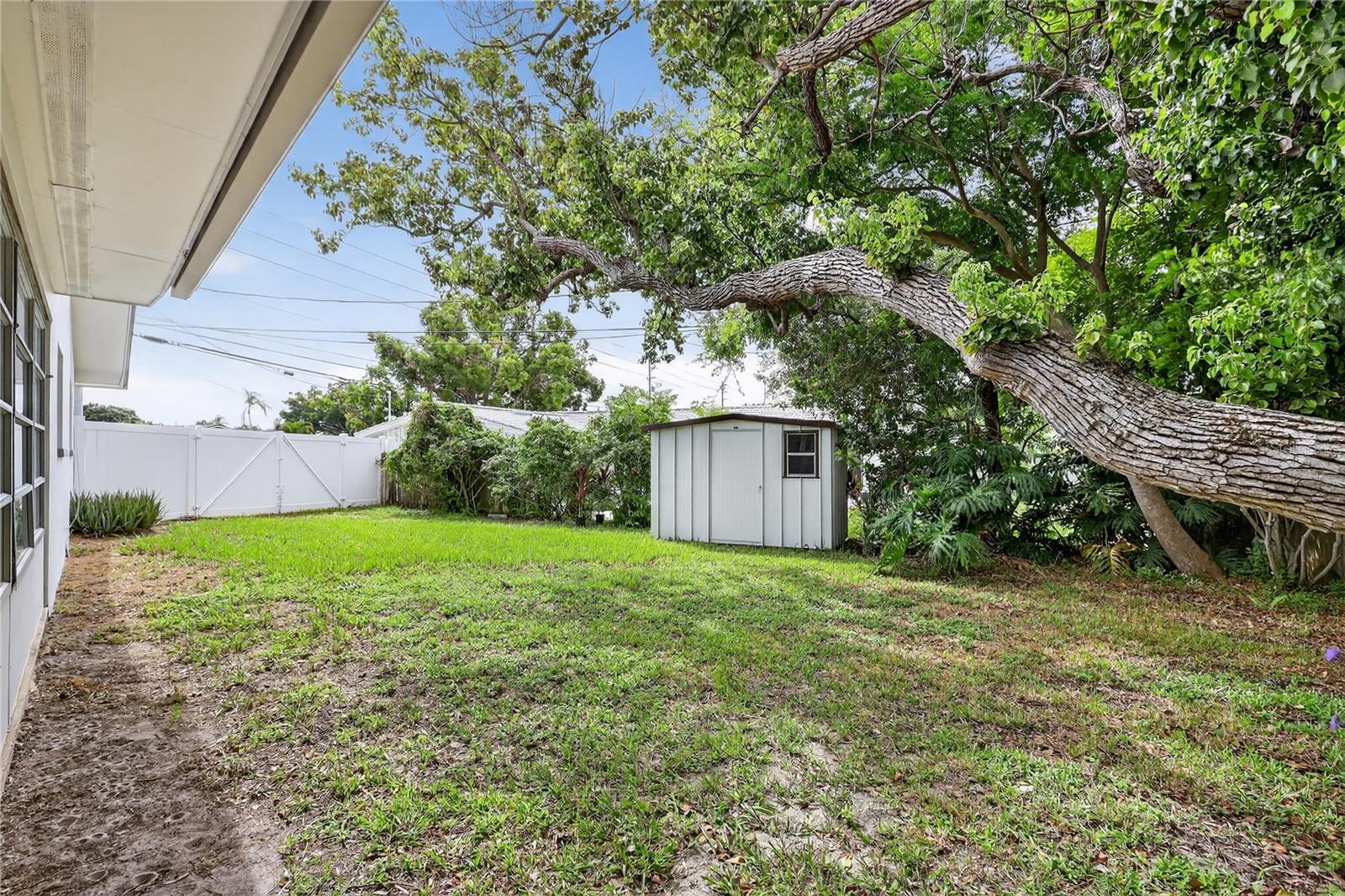 Rear Yard