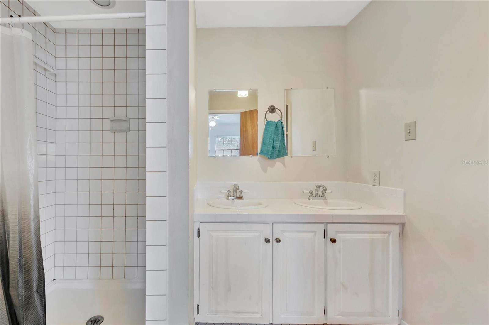 Master Bath -Standalone shower