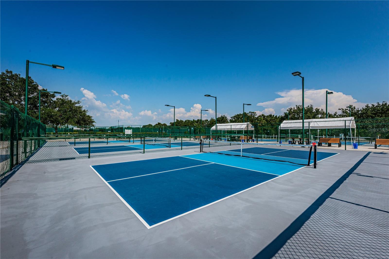 Lots of pickleball courts---and they're lighted!