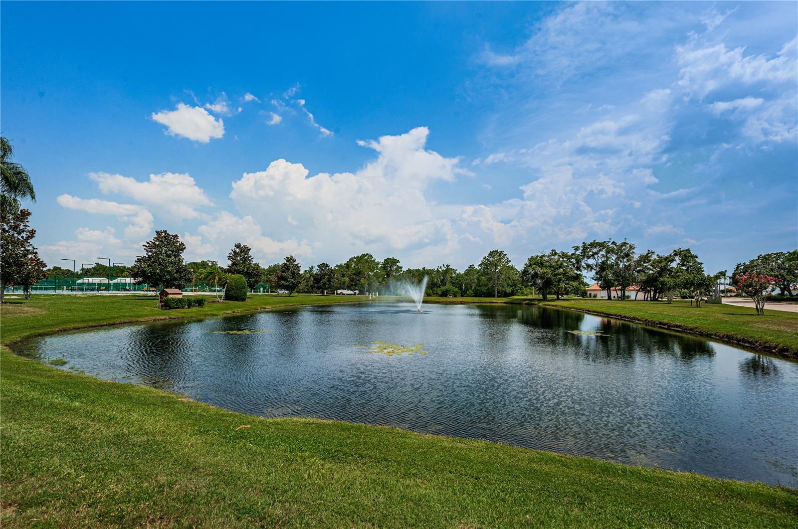 Beautiful and peaceful views abound!