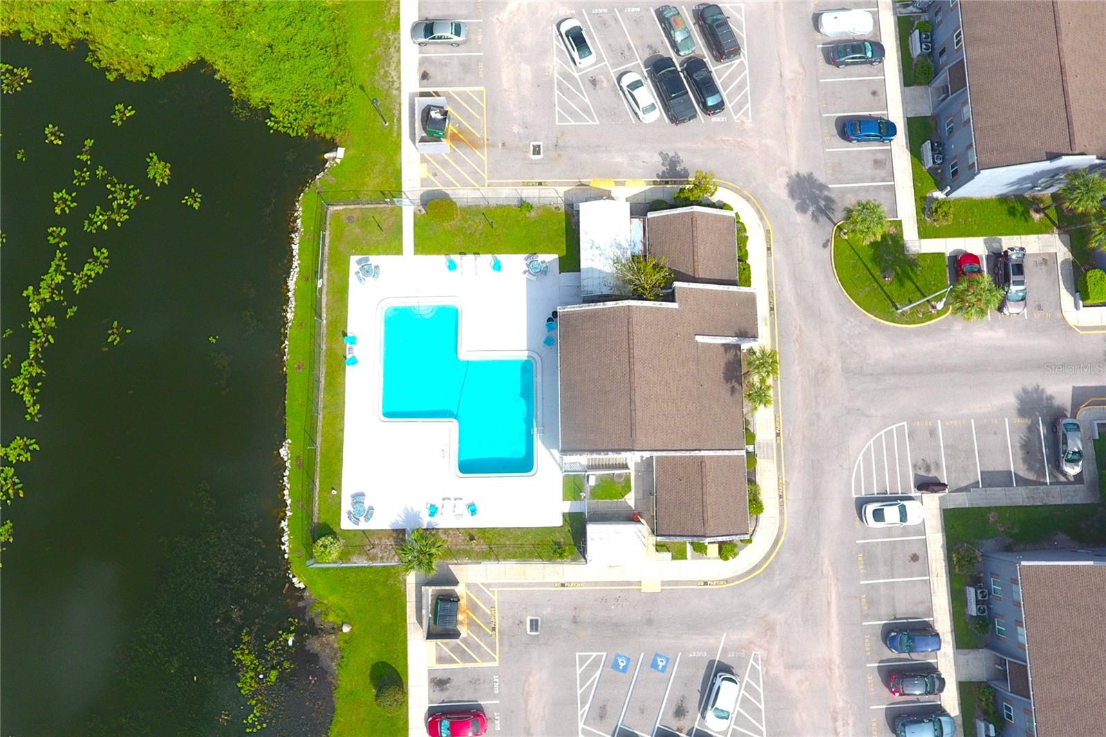 Main Pool