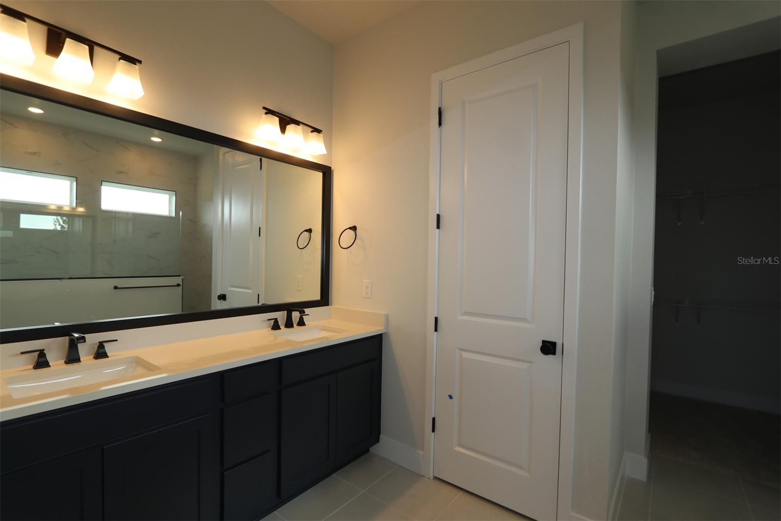 Owner's Bath