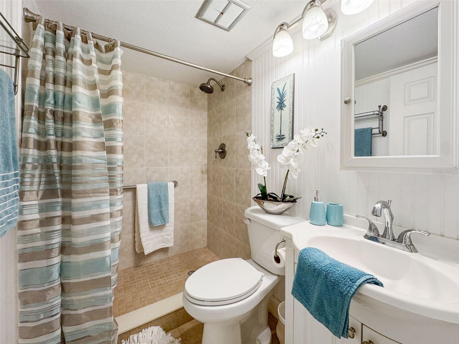En Suite Bathroom Walk in Shower