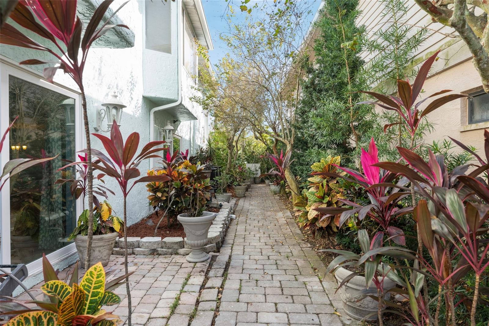 Beautiful tropical landscaping
