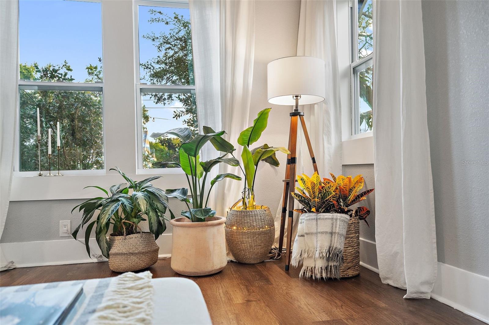 Living Room Details