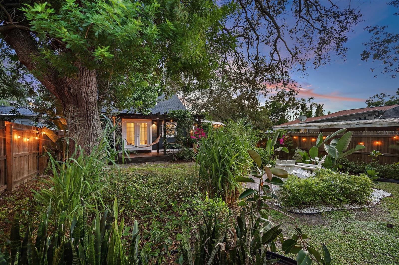 Backyard Oasis