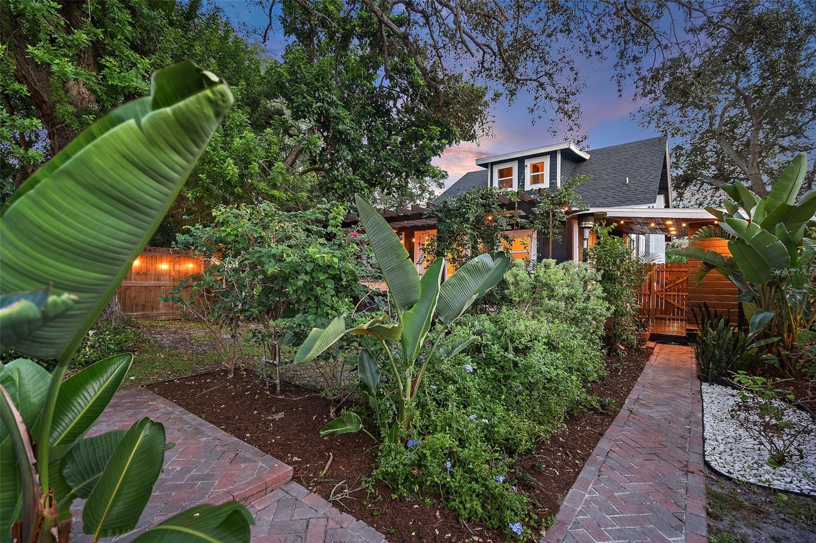 Backyard Oasis