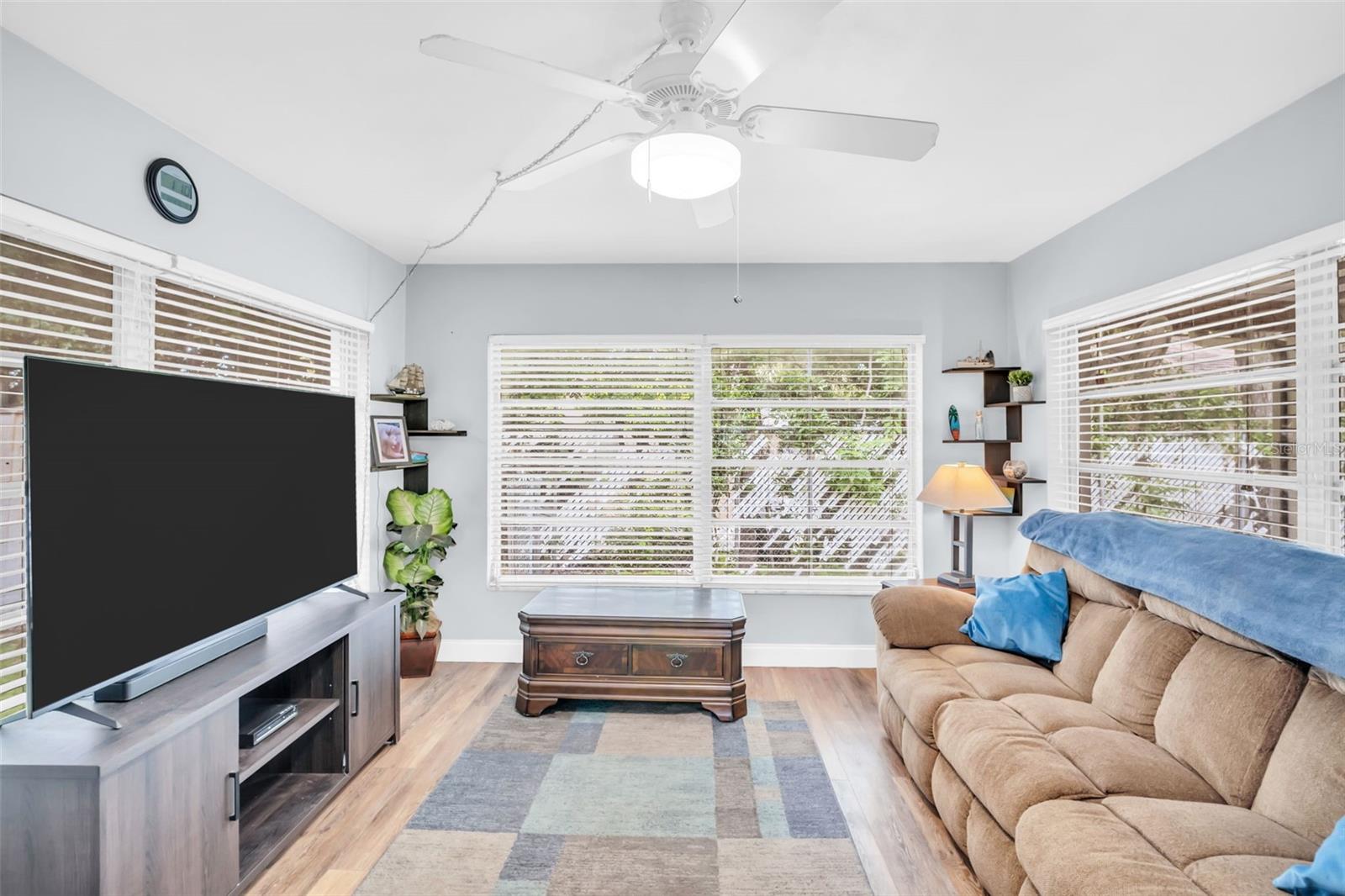 Entertainment Room
