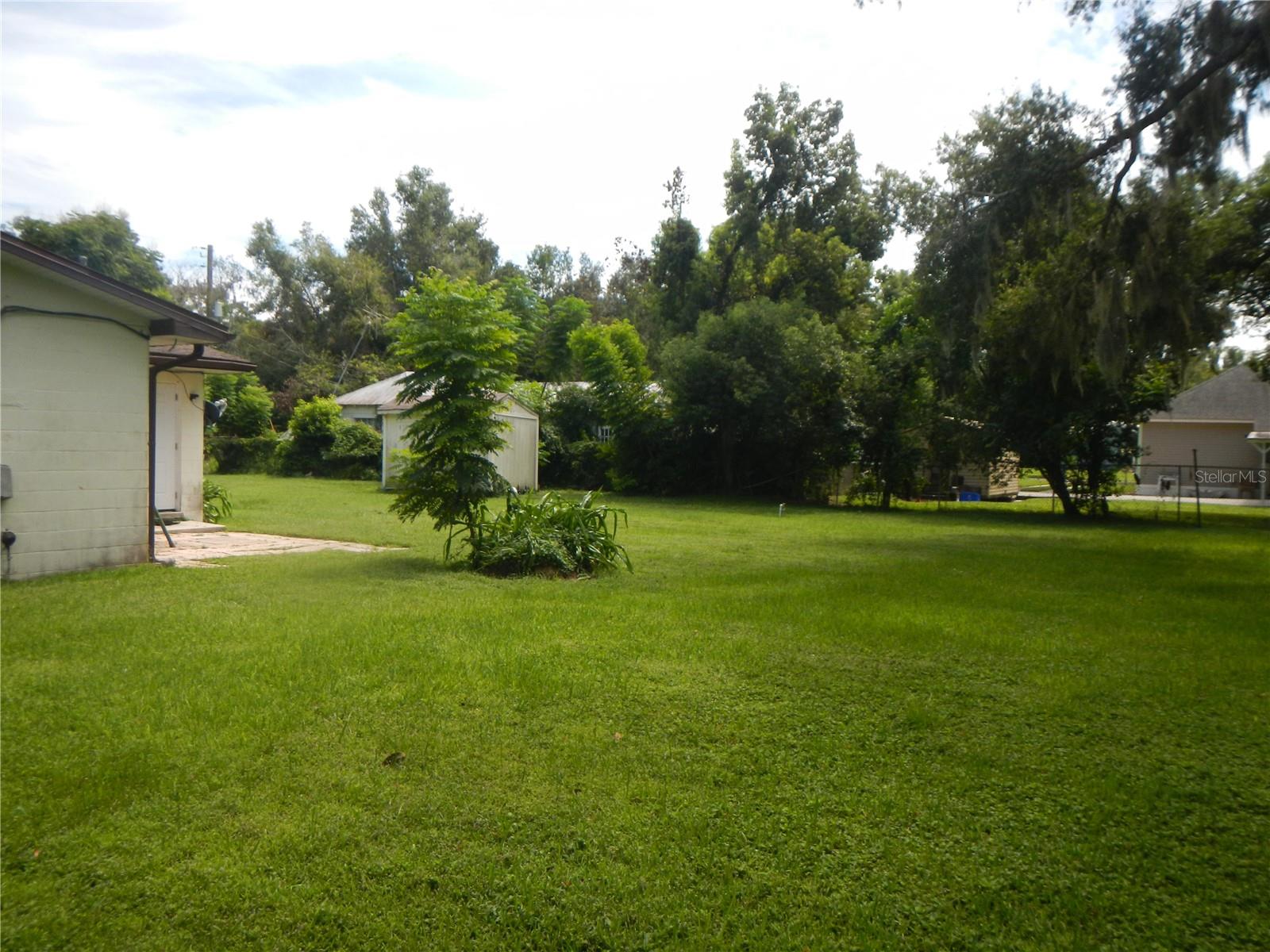 Back yard with open patio and Chain link fenced.