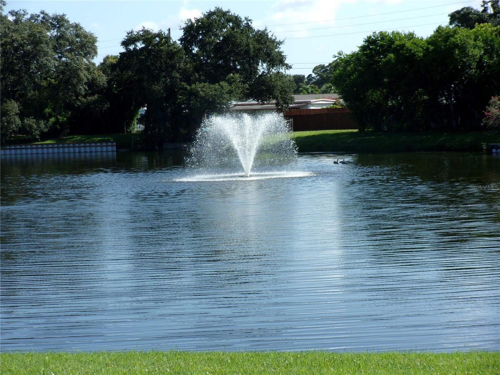 Lake by Bldg. 16