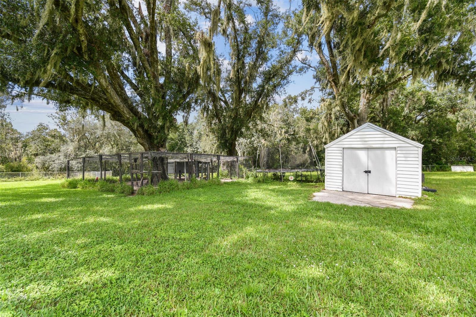 Shed and Chicken coop and run