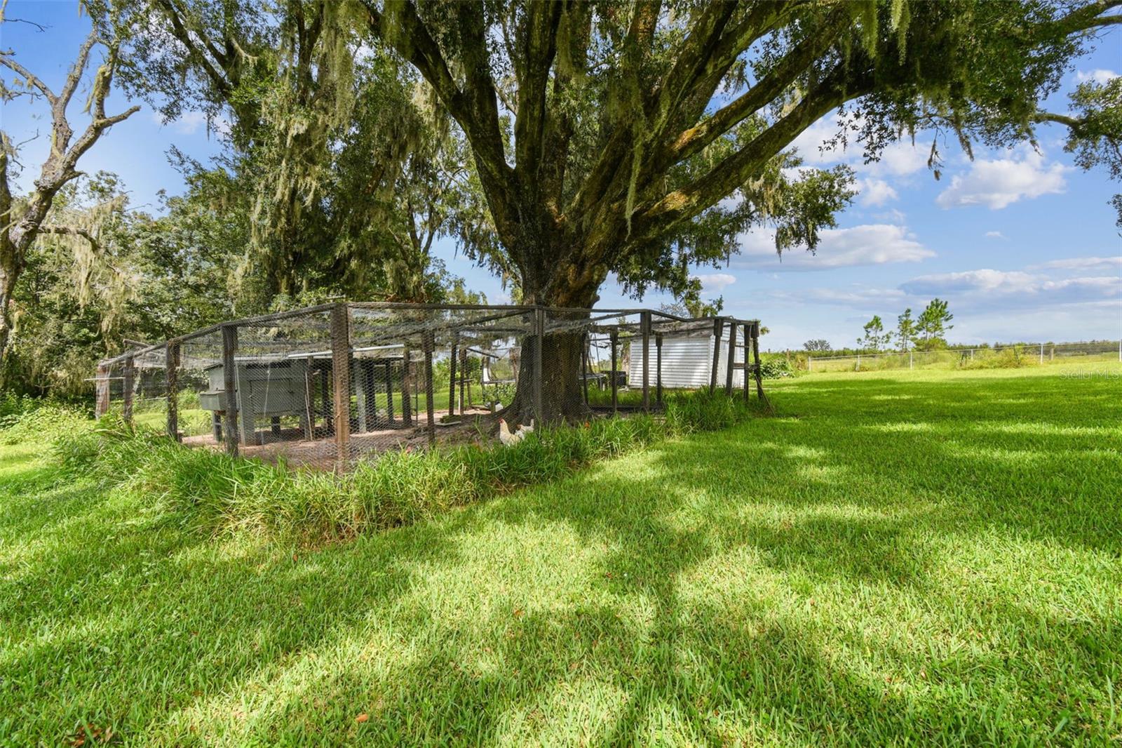 Chicken Coop and Run
