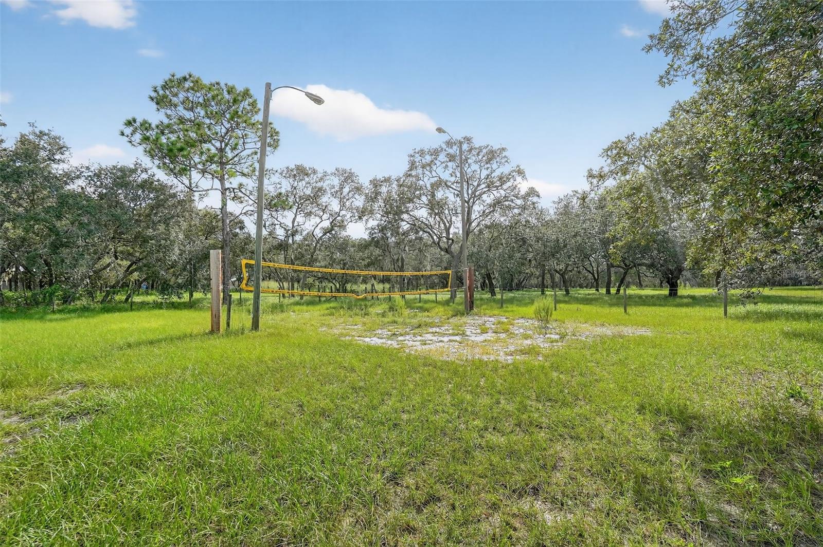 Volleyball Net