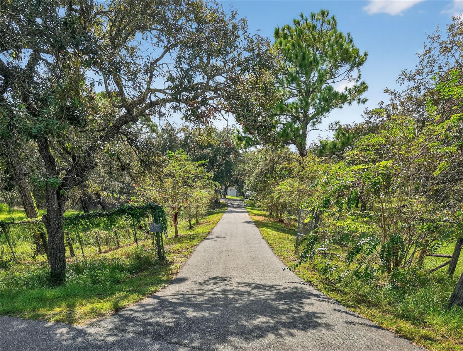Driveway