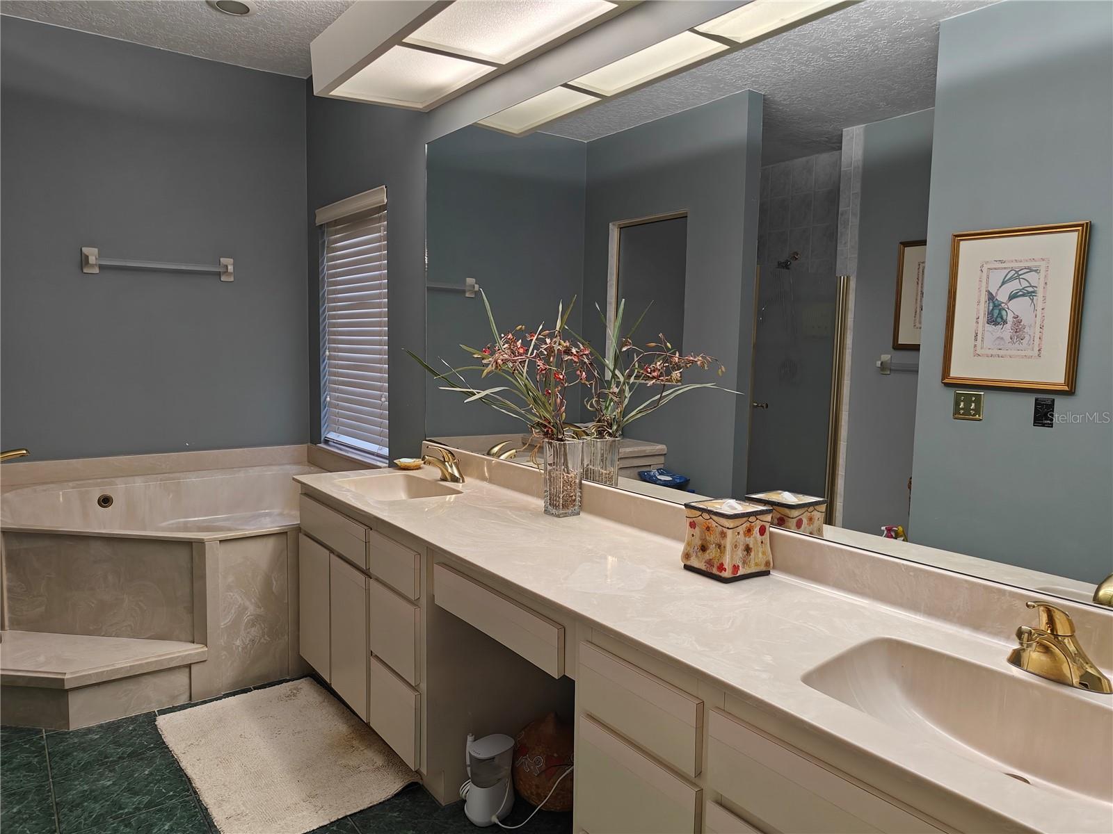 Math bath with large tub, separate shower and tiolet with a door
