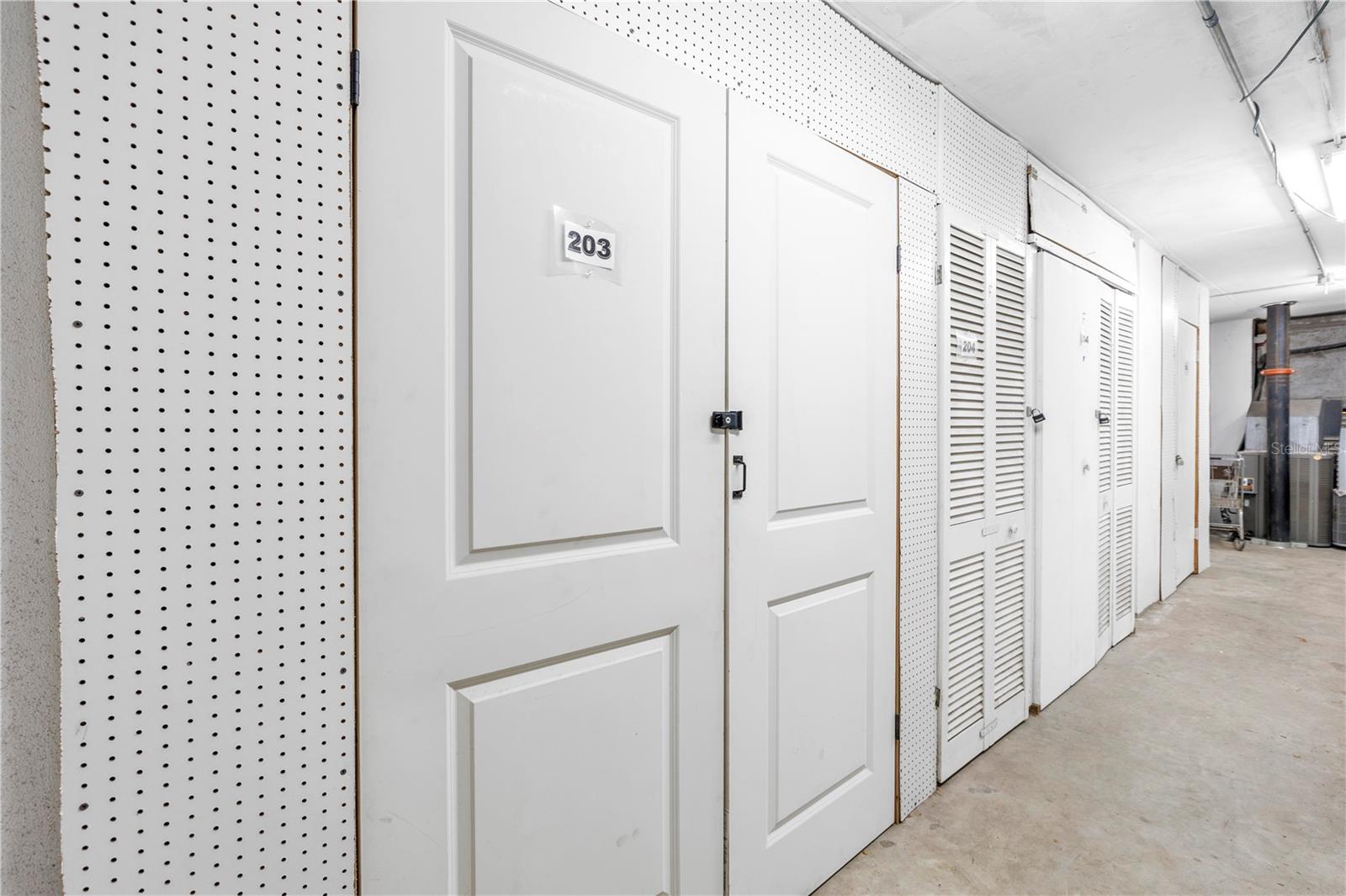 2 Separate Walk-in Storage Units on Same Floor