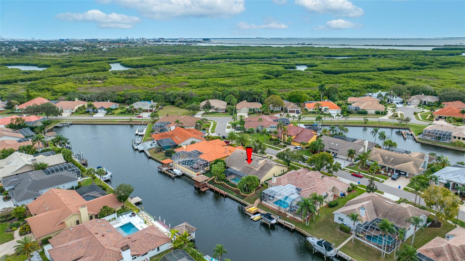 Aerial view with Tampa City in background