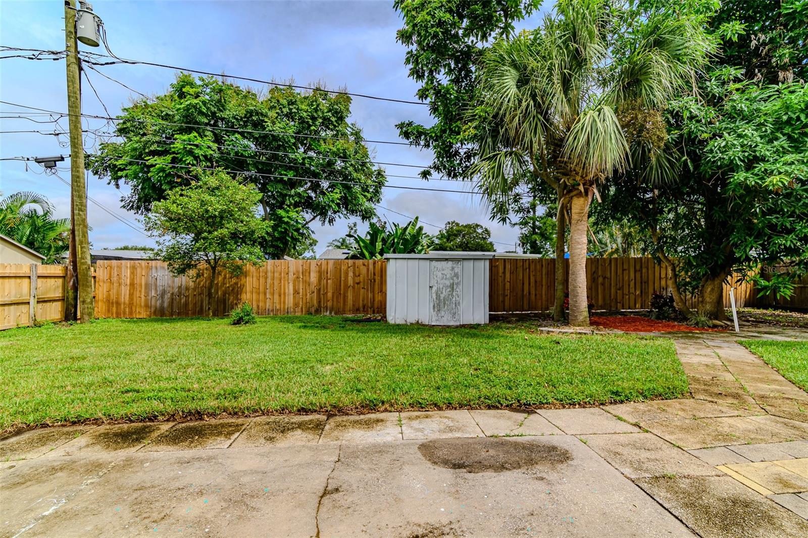 View out to the backyard
