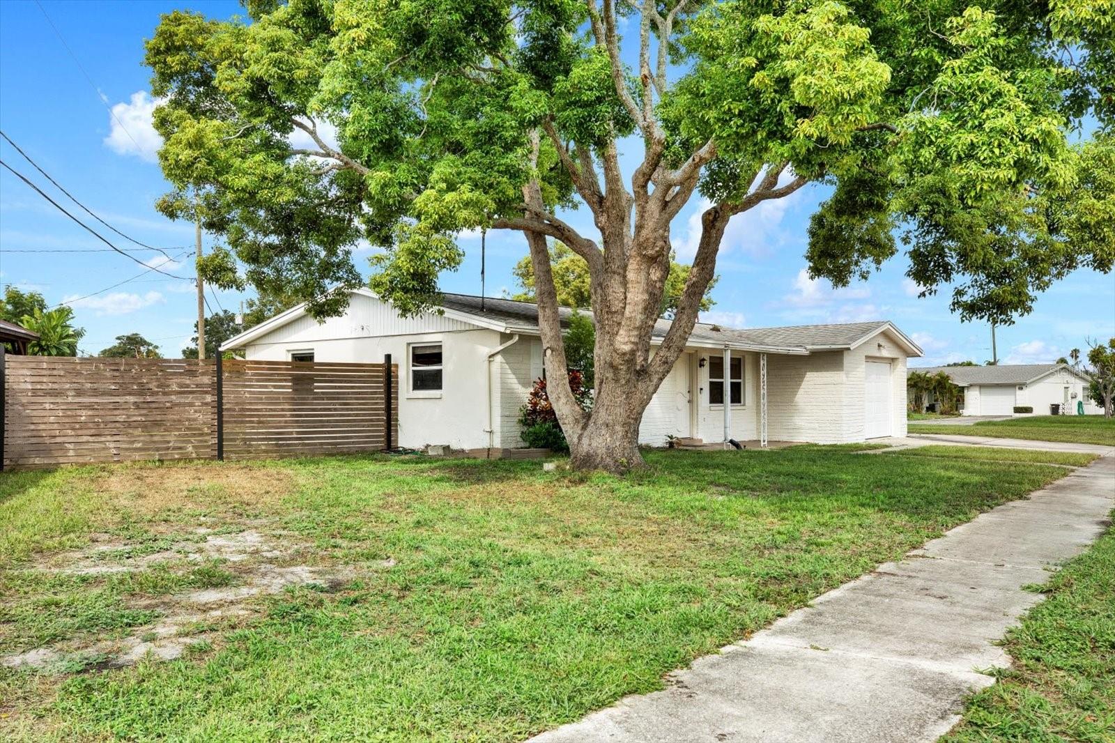 Side view of the fenced yard