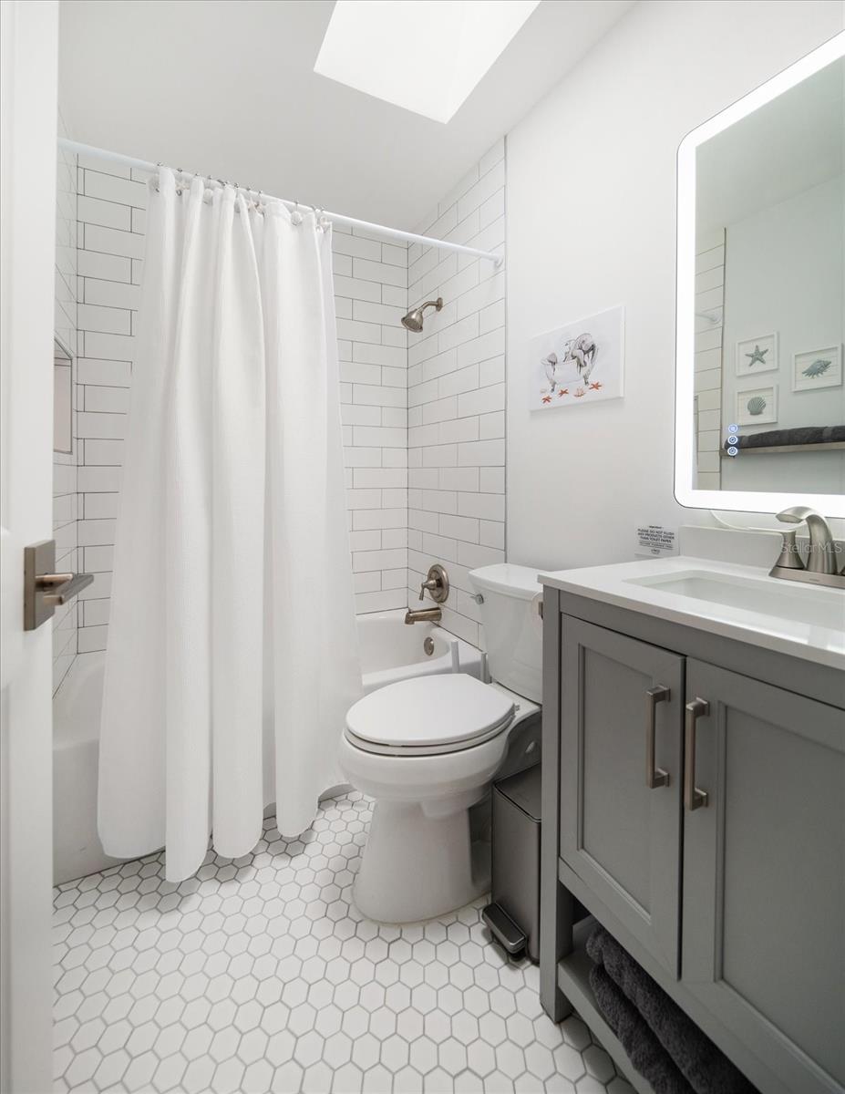 Guest bathroom.