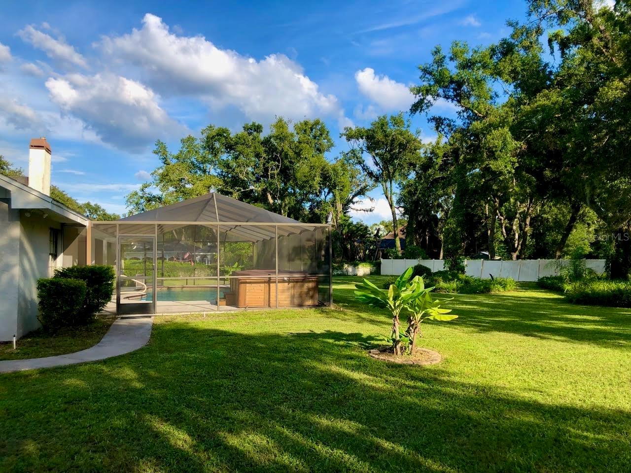 Backyard view