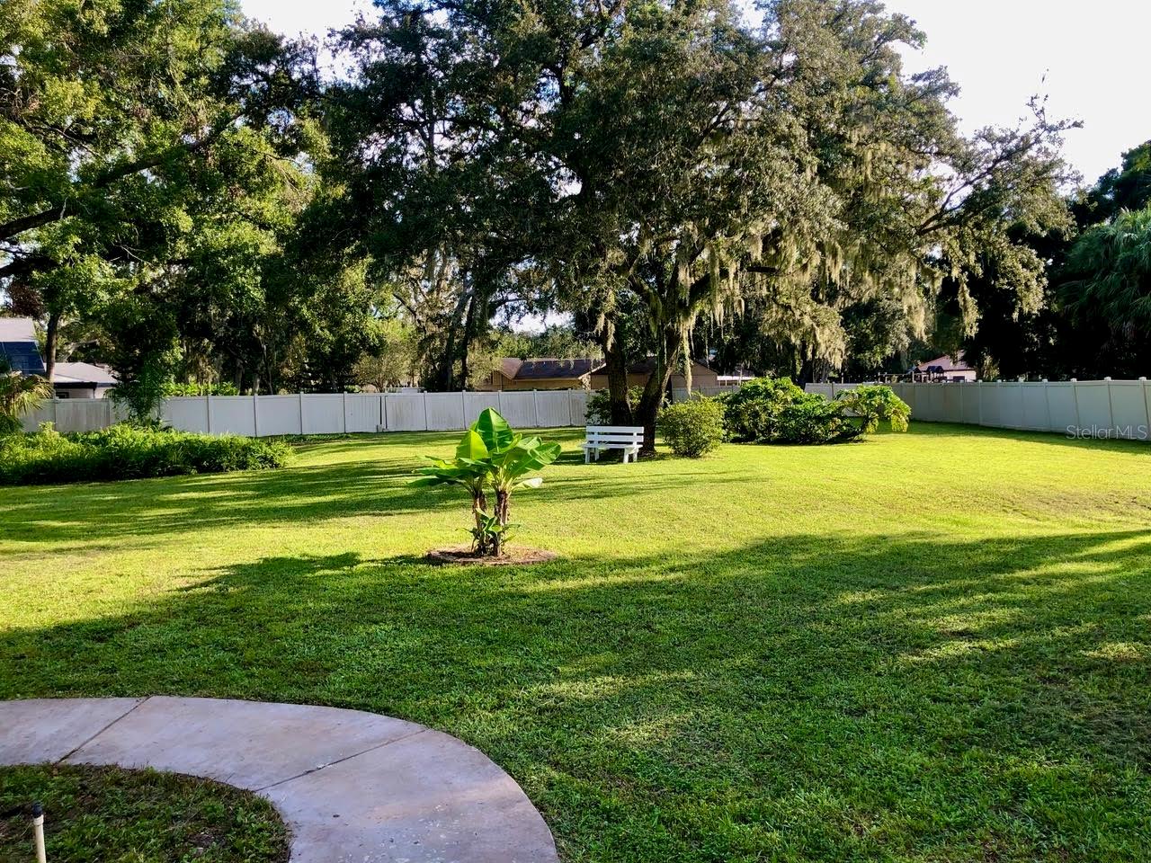 Back yard view