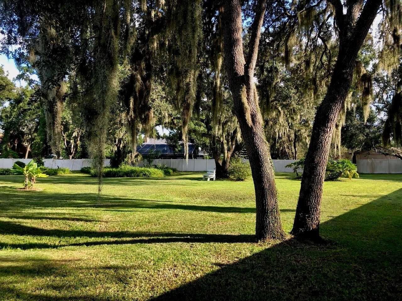 Back yard view
