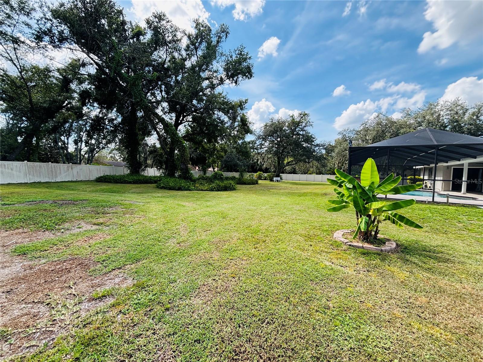 Backyard