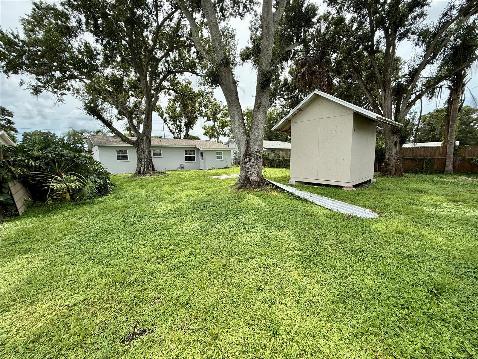Large backyard