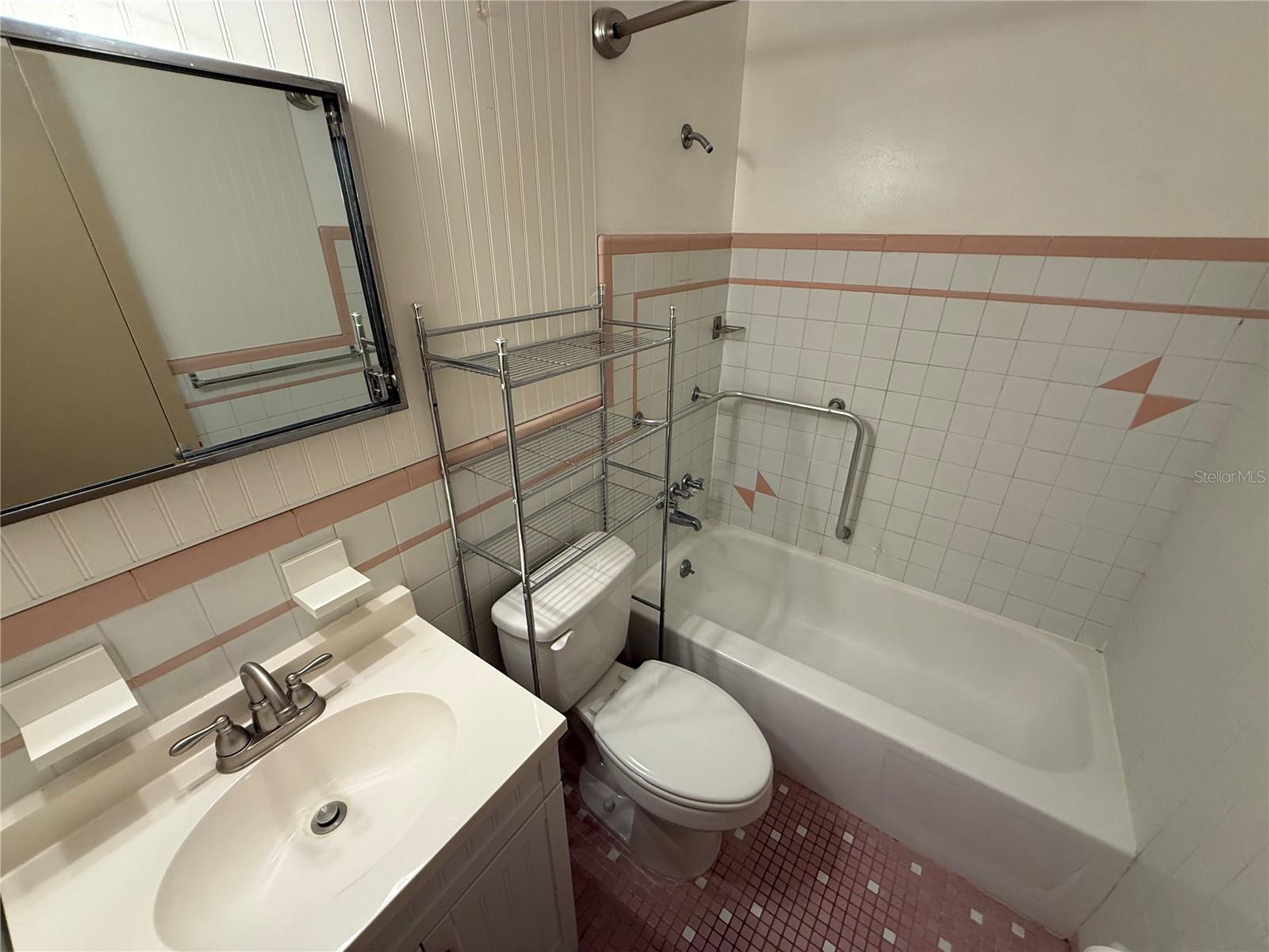 Guest/hall bath