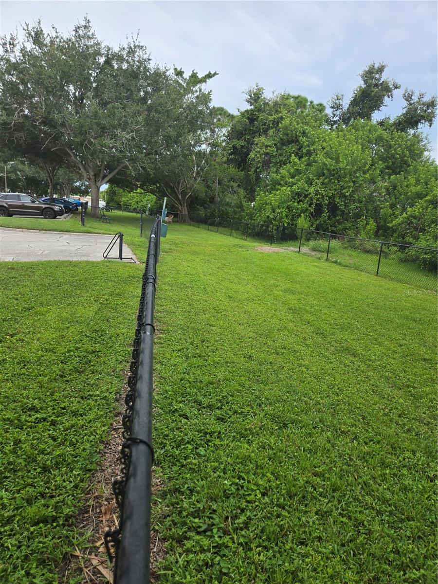 dog park