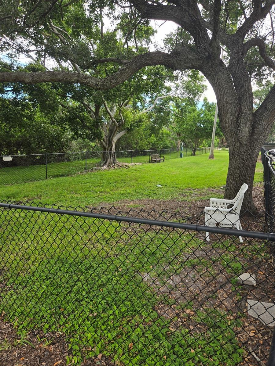 dog park 2
