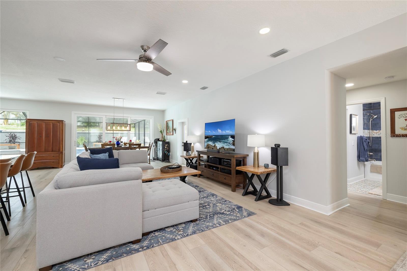 Large Living Room