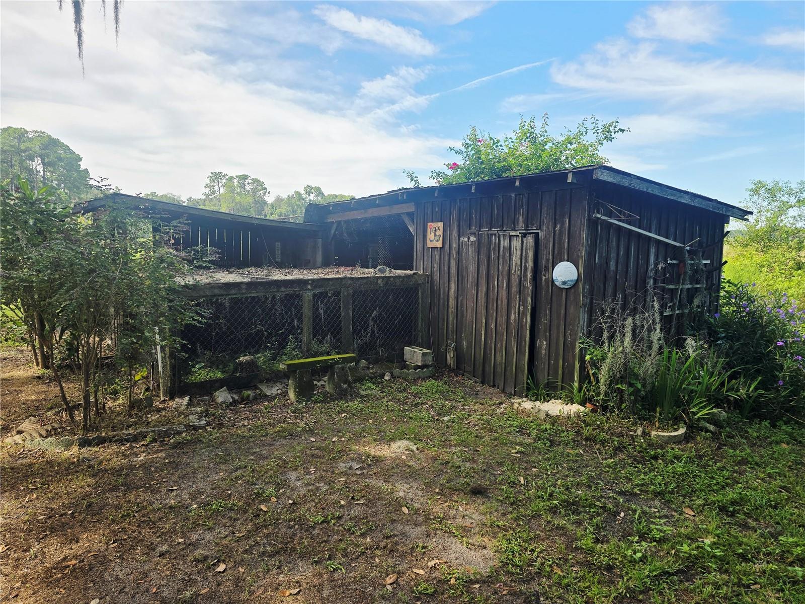 Chicken Coop