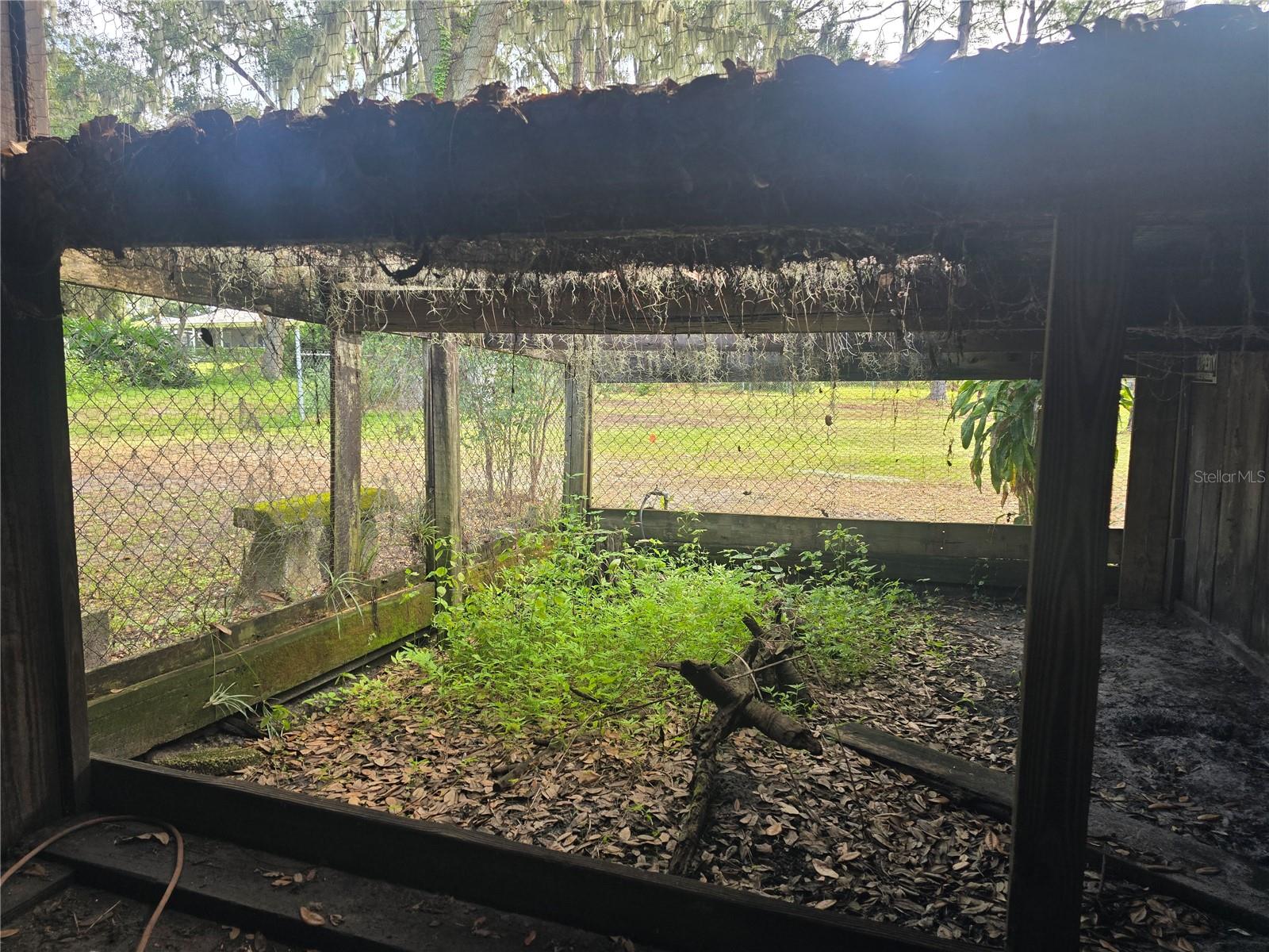 Chicken Coop