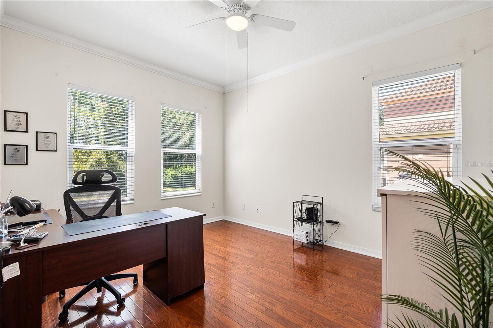 Downstairs Study - Flex Space