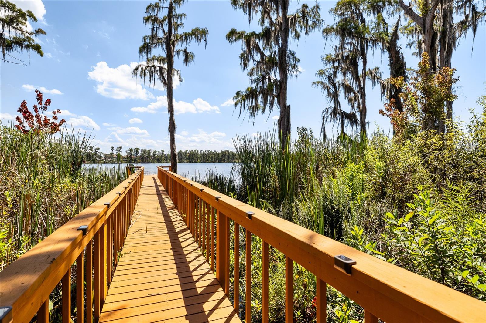 Dock to Lake