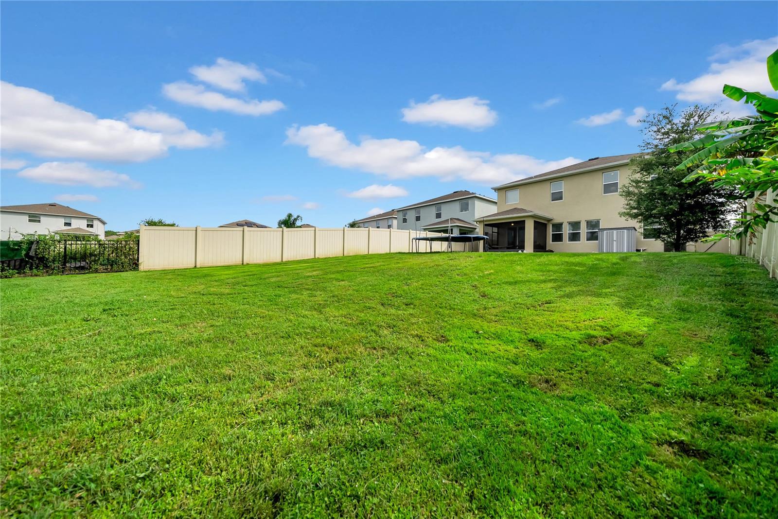 Backyard Landscape