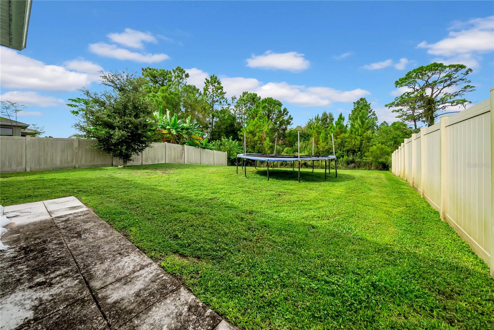 Backyard Landscape
