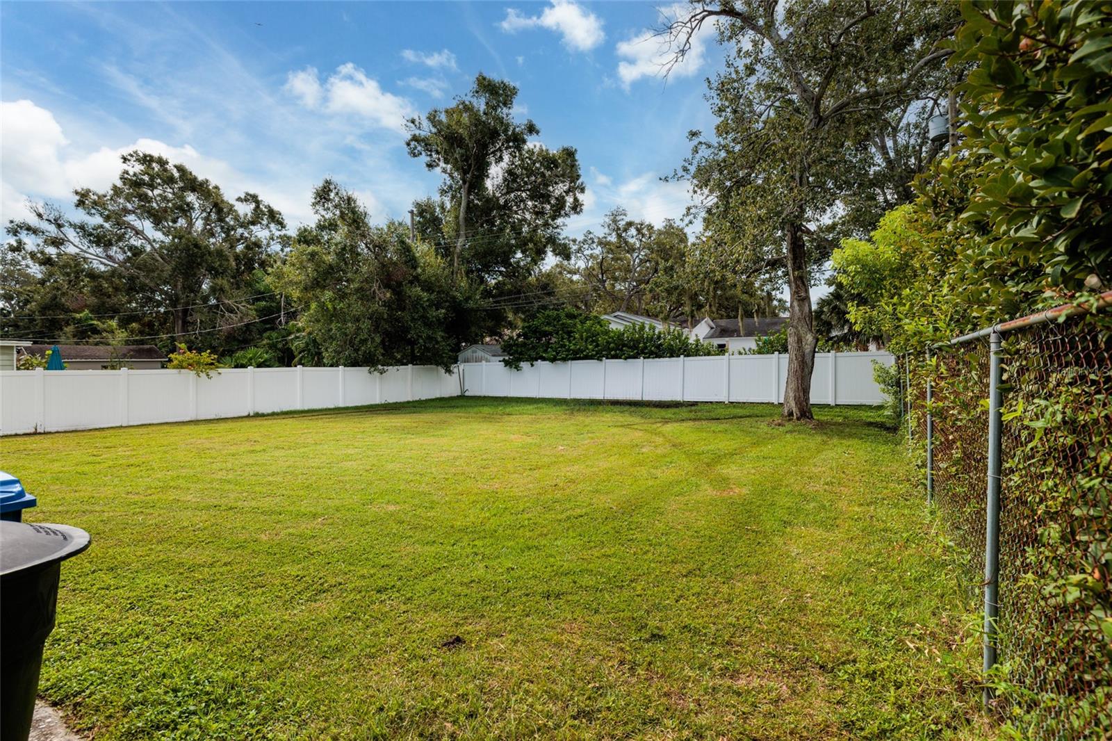 Backyard View from House