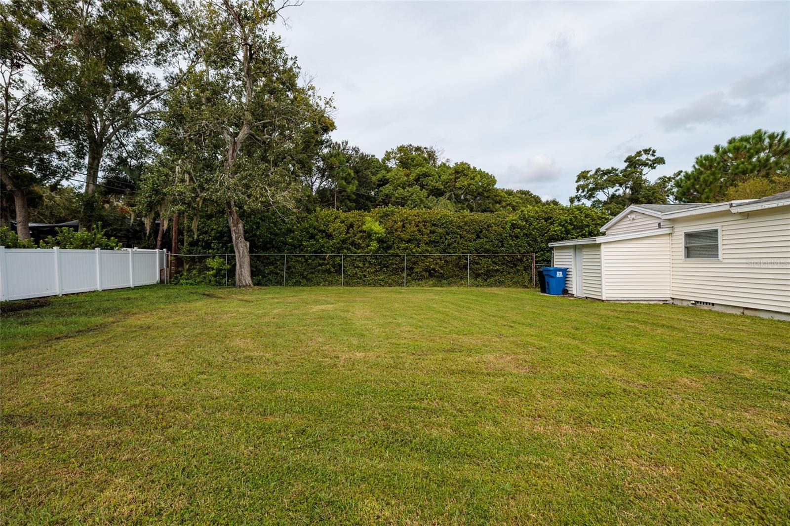 Backyard Left Side View